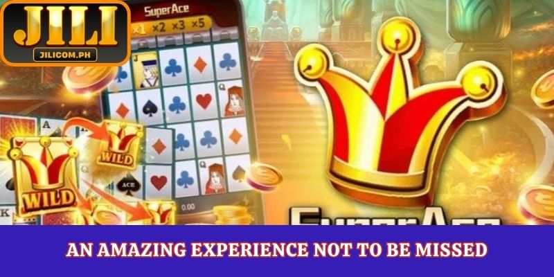 An amazing experience not to be missed